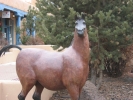 PICTURES/Taos Plaza & Stuff/t_Taos Plaza - Horse sculpture 2.jpg